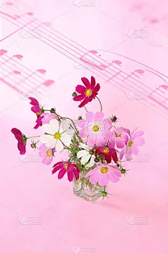 玻璃中的宇宙(花)和乐谱