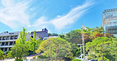 小豆菌采集到成均馆大学