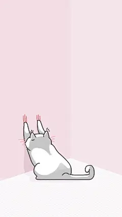 猫咪。壁纸。锁屏。