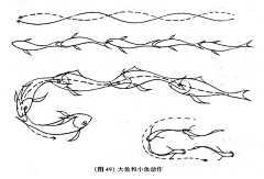 不期待再重来采集到视频