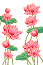 中式立体花 (356)