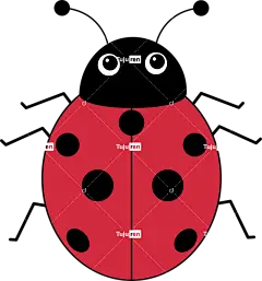 昆虫 瓢虫 昆虫学 甲虫，昆虫 甲虫 画画 草图 剪下