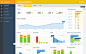 Analytics dashboard : Analytics dashboard (Flat)