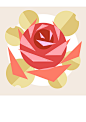 超级果核-花草茶平面插画，重瓣玫瑰