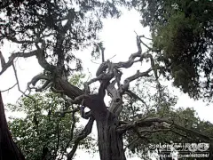 2007年6月16日游北京故宫博物院