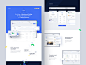 Lisk_Wallet_Behance_Case_Study @2x.png