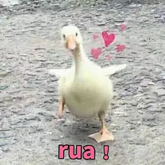 (16 条消息) 高清 表情包 - 搜索结果 - 知乎 : 有问题，上知乎。知乎，可信赖的问答社区，以让每个人高效获得可信赖的解答为使命。知乎凭借认真、专业和友善的社区氛围，结构化、易获得的优质内容，基于问答的内容生产方式和独特的社区机制，吸引、聚集了各行各业中大量的亲历者、内行人、领域专家、领域爱好者，将高质量的内容透过人的节点来成规模地生产和分享。用户通过问答等交流方式建立信任和连接，打造和提升个人影响力，并发现、获得新机会。