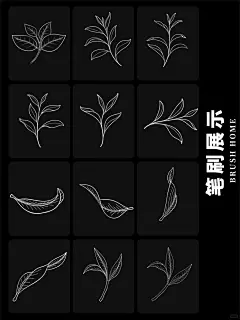 茶叶线稿procreate笔刷ps画笔茶叶手绘插画 - 小红书