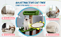 cat activity tree
