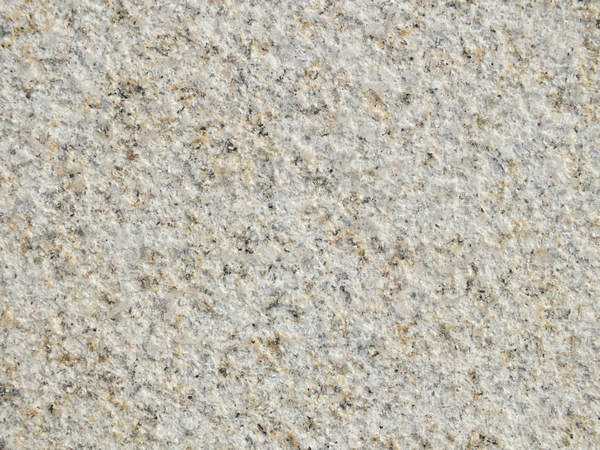 山东锈石荔枝面