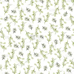 无缝矢量壁纸与树枝的冬季槲寄生的图案。这幅手绘素描采用了极简主义的风格。复古风格的插画纸，印刷，假日