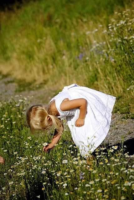 picking flowers: