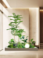 仿真绿植造景楼梯下网红仿生装饰热带组合商场室内景观假植物造景-tmall.com天猫