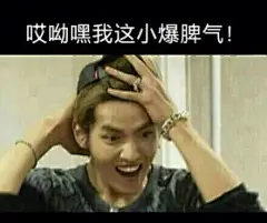 exo带字搞笑表情包-搜狗搜索