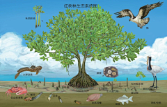福尔摩斯的大弟子采集到展陈