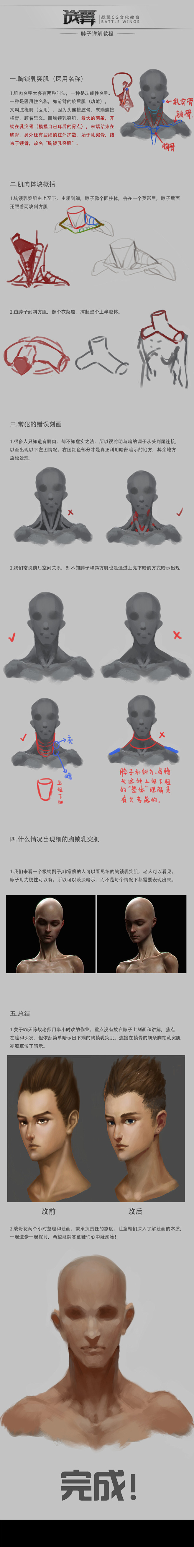 脖子画法详细教程
陈战老师微博：http...