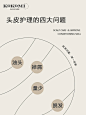 头皮类型-小红书搜索