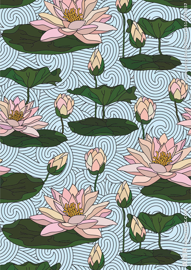 荷花