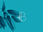 BARRO BLUE品牌形象设计 | Willian Santiago 设计圈 展示 设计时代-Powered by thinkdo3
