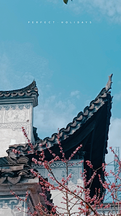 杨111223采集到中式庭院