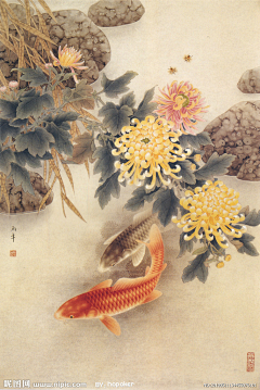 ldFpfnUh采集到菊花
