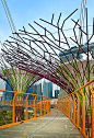 Super Tree Grove.  Gardens by the Bay, Singapore.