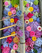 たまりん on Instagram: “今日は末廣神社で花手水を 作成させていただきました。 紫陽花の季節なので 紫陽花60本 ガーベラ10本ご提供させていただきました。 のんびり茶屋の女将さんが育てた ダリア　もはいってます。 太宰府天満宮みたいに プールのようではないですが…”