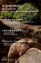PMPM白松露酵母光采烟酰胺精华液紧致面部肌底液正品旗舰店-tmall.com天猫