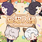临空新闻独家播报 | 神秘猫猫频繁出没
