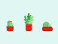cactus color icons