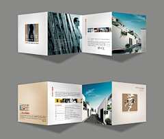 ╲\﹨ˋ沐晨采集到Flyer