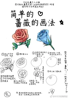 #绘画参考# 关于蔷薇花的简单画法，只要7步骤就能get，来给背景画些花卉吧~ ​​​​ 