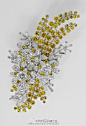  这个胸针挺好看的叫澳大利亚荆树胸针（The Australian Wattle Brooch）1954年澳大利亚总理孟席斯先生送给女王的，胸针大概四英寸长，中间有三个茶树花，而枝条作成的篱笆的样子类似含羞草，是澳大利亚的象征，胸针上镶嵌了150颗钻石，其中叶子由黄钻组成@北坤人素材