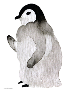 根鸟~采集到手绘 · 插画