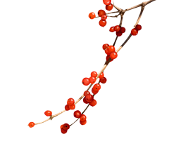 咚咚咚_采集到背景素材
