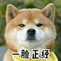 你在面试时见过最奇葩的事情是什么？ - 知乎