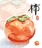 iPad水彩画｜ 柿子_1_苏攸Suyou_来自小红书网页版