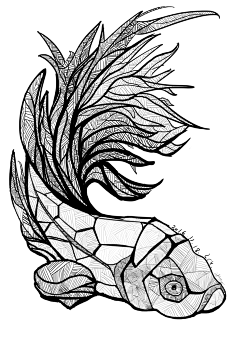 我是姓温的采集到黑白装饰画