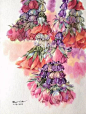 泰国水彩画家----Kitipong Ti : 来自泰国水彩画家 Kitipong Ti 的花卉作品，虚实表现的恰到好处，色彩清丽而不艳，画面清新而不俗…… Kitipong Ti先生是一名泰国水彩画家，目前在曼谷授课 他...