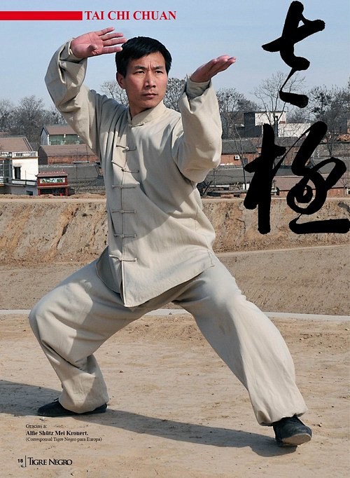 陈炳老师接受南美洲《黑虎功夫》杂志的采访...