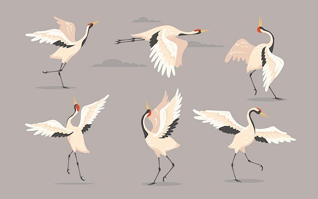Free vector japanese...