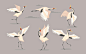 Free vector japanese crane set.