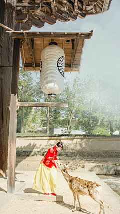 设设菲采集到风景