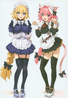 VALIAND采集到fate系列