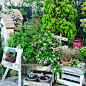 ～“welcome garden”

～今晚分享一组如梦似幻的小小garden！
～一个让人流连忘返、心潮波澜的花园，不一定扎堆儿许多的名贵花草、奇香幽兰。真正让人心驰所往的，一定是花草的主人对她所拥有的花儿们的万千宠爱！它表达在一年四季的更替、花开不败；它定义于某种花植在花园里无限延伸的宠溺、恣意装点出的绚烂多姿！
～岁月苒苒…刚好，梦入花境时，花境里情愫似梦！