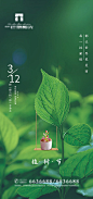 【源文件下载】 海报 房地产 公历节日 植树节 365847