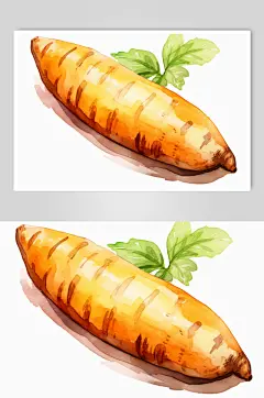 AI数字艺术手绘红薯番薯粗粮食物插画