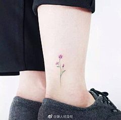 YhyhY采集到未纹花铭