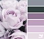 Design Seeds : Design Seeds color palettes ... posted daily for all who love color.