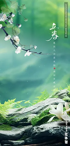 立春一缕芬芳枝头现